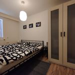 Rent 1 bedroom apartment of 41 m² in Kaliště
