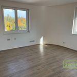 Rent 3 bedroom apartment of 91 m² in Jablonec nad Nisou