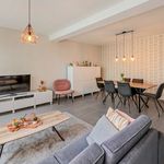 Rent 1 bedroom apartment in Sint-Niklaas
