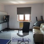 Rent 15 bedroom house of 420 m² in Warszawa