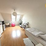 Rent 2 bedroom apartment of 79 m² in Opava