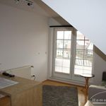 Rent 8 bedroom apartment of 300 m² in Braunschweig