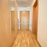 Rent 1 bedroom apartment of 33 m² in Hostivice