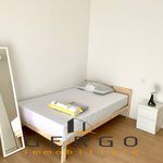 Rent a room of 130 m² in Padova