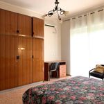 Affitto 4 camera casa di 150 m² in Catanzaro