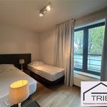Rent 3 bedroom apartment of 135 m² in Etterbeek