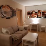 Rent 2 bedroom apartment of 40 m² in Leipzig