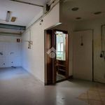 Affitto 1 camera appartamento di 150 m² in Ciriè