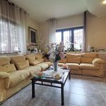 Rent 5 bedroom house of 300 m² in Catanzaro