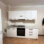 Rent 1 bedroom apartment of 60 m² in Piacenza
