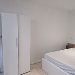 Appartement de 26 m² avec 1 chambre(s) en location à Amélie-les-Bains-Palalda