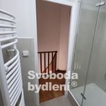 Pronajměte si 3 ložnic/e byt o rozloze 67 m² v Litvínov