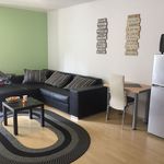 Rent 1 bedroom apartment of 45 m² in Frankfurt am Main