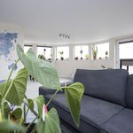Rent 1 bedroom apartment in West Suffolk
