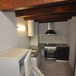 Rent 1 bedroom apartment of 38 m² in Cintegabelle