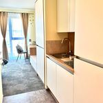 Rent 1 bedroom apartment of 24 m² in Rosbach vor der Höhe