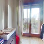 Affitto 2 camera appartamento di 100 m² in Torino