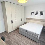 Rent 3 bedroom apartment of 76 m² in Praha