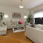 Rent 5 bedroom apartment of 161 m² in Zagreb