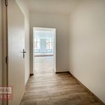 Rent 1 bedroom apartment of 44 m² in Kroměříž