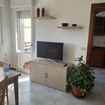 Rent 2 bedroom apartment of 100 m² in bologna