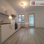 Rent 2 bedroom apartment of 63 m² in Karlovy Vary