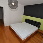 Rent 4 bedroom apartment of 102 m² in Prague