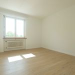 Rent 4 bedroom apartment of 90 m² in Aarburg
