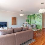 Rent 3 bedroom apartment of 180 m² in Zimbreiros