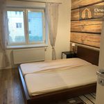 Rent 2 bedroom apartment of 55 m² in Nový Jičín