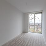 Rent 1 bedroom apartment of 59 m² in Leiden