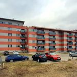 Rent 2 bedroom apartment of 42 m² in Kladno