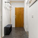 Miete 2 Schlafzimmer wohnung von 42 m² in Nürnberg