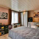 Huur 1 slaapkamer appartement in Torhout
