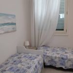 Rent 2 bedroom apartment of 65 m² in Massa