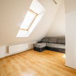 Rent 4 bedroom apartment of 104 m² in Králův Dvůr