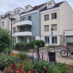 Rent 2 bedroom apartment of 50 m² in Bischheim