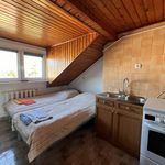 Rent 10 bedroom house of 250 m² in Szczecin