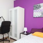 Rent a room in Alcalá de Henares
