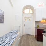 Rent 1 bedroom apartment of 15 m² in Prague