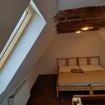 Rent 3 bedroom apartment of 87 m² in Nürnberg