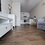 Rent 2 bedroom apartment of 38 m² in Zabrze