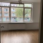 Rent 1 bedroom apartment of 75 m² in Rotterdam