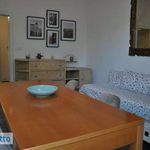 Rent 2 bedroom apartment of 78 m² in Bologna