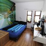 Miete 1 Schlafzimmer wohnung von 52 m² in Magdeburg