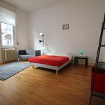 Rent a room of 110 m² in Strasbourg