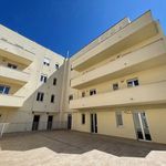 Rent 4 bedroom apartment of 90 m² in L'Aquila