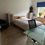 Rent 1 bedroom apartment in Hoeilaart