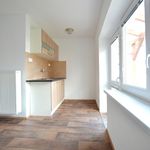 Rent 1 bedroom apartment of 25 m² in Humpolec