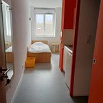 Rent 1 bedroom apartment of 18 m² in Oyonnax